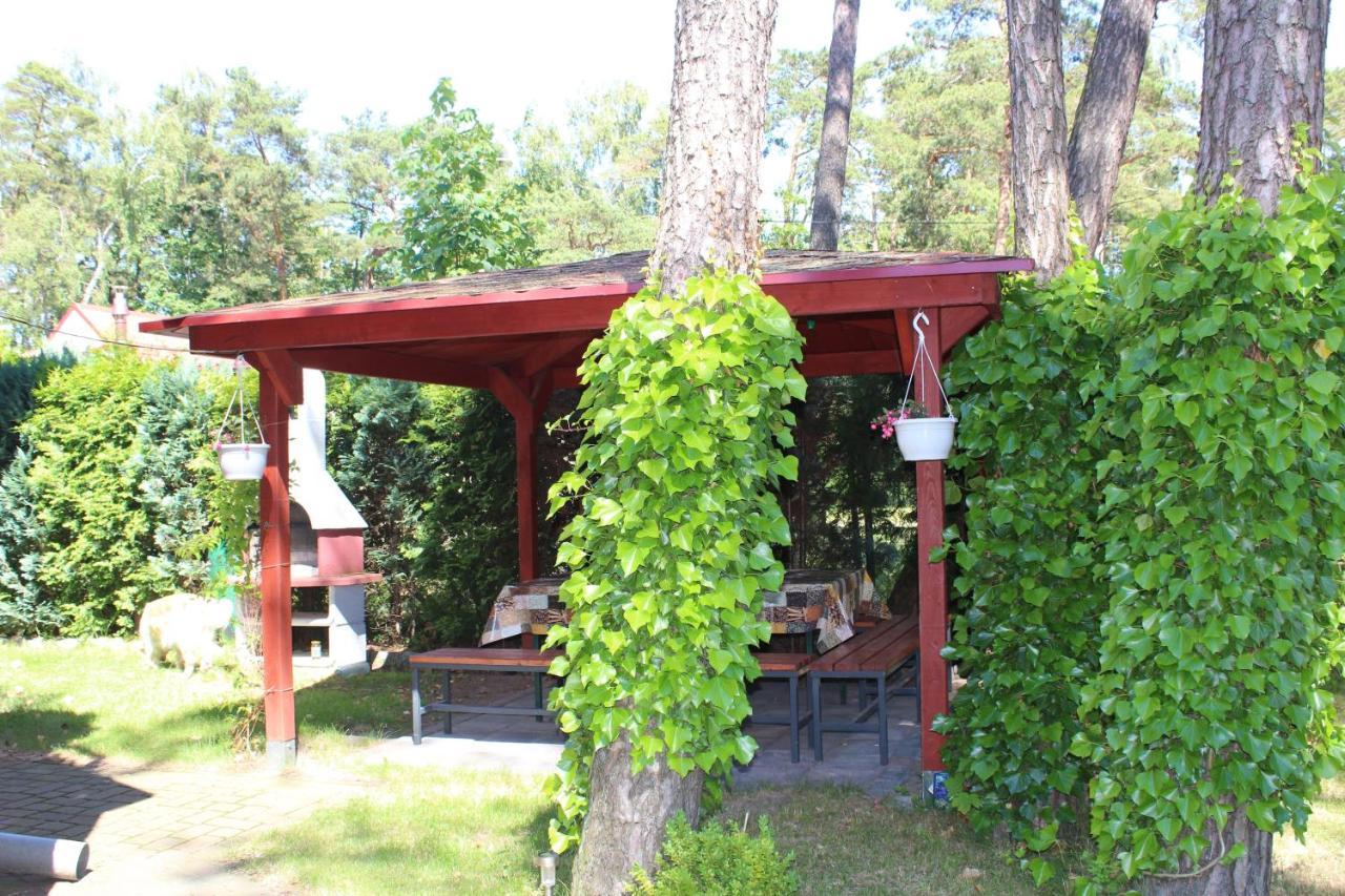 Dom Pod Sosnami Bed & Breakfast Mielno  Luaran gambar